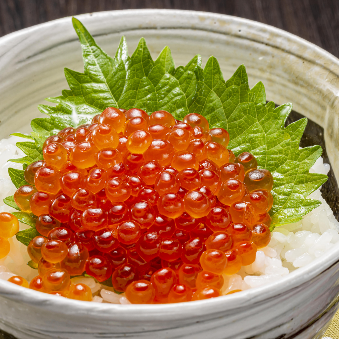 Premium Salmon Caviar (Ikura) | いくら醤油漬け (大粒) | 250G