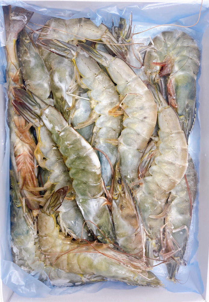 Vannamei Shrimp | お徳用: バナメイエビ | 1KG Value Pack - SAKANA Singapore