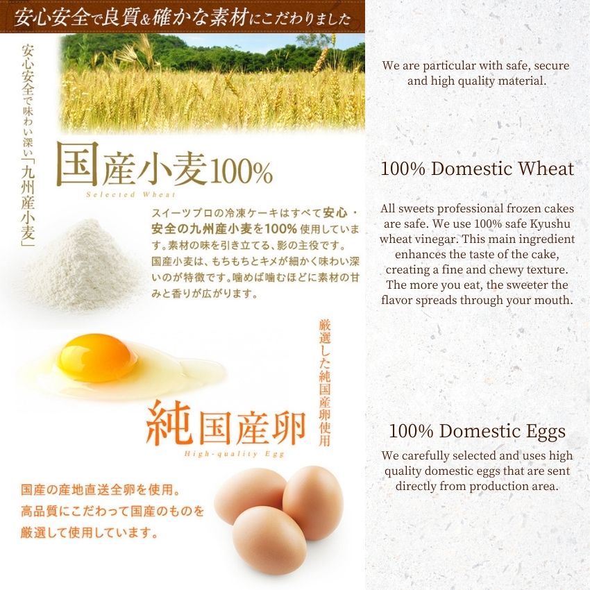 BAKED CHEESECAKE 12PC I 福岡産チーズケーキ 12pcs/ 480G