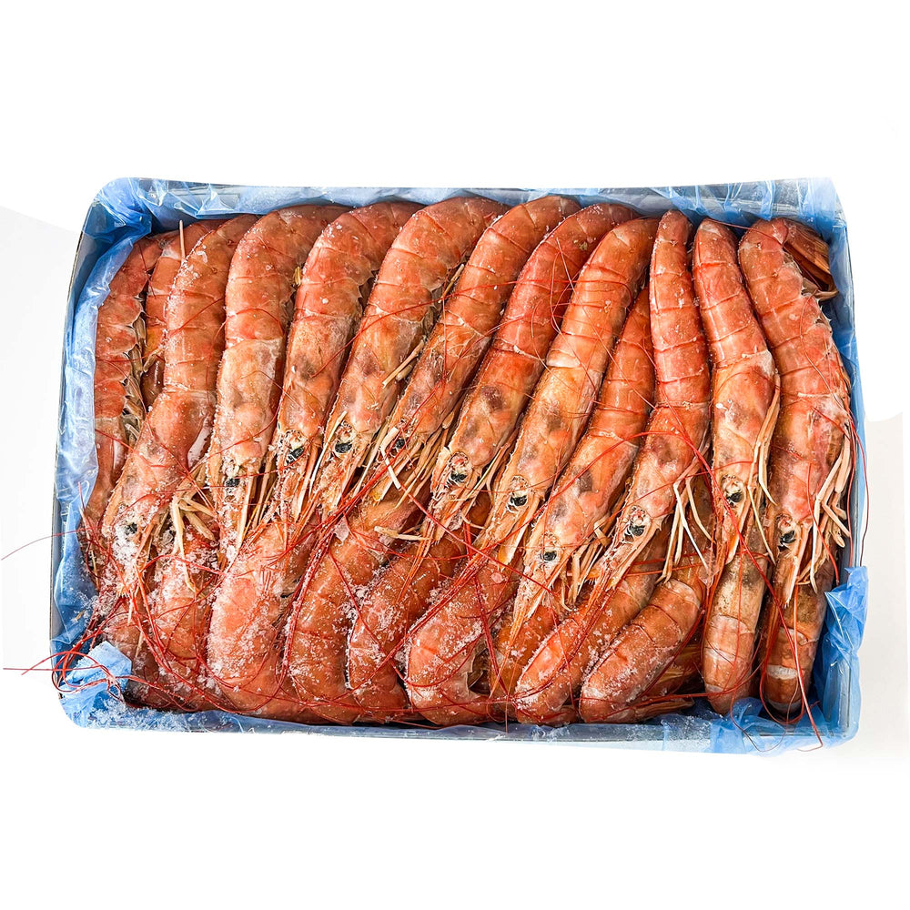 
                  
                    Argentine Red Shrimp L2 | アルゼンチン赤海老 | 2KG
                  
                