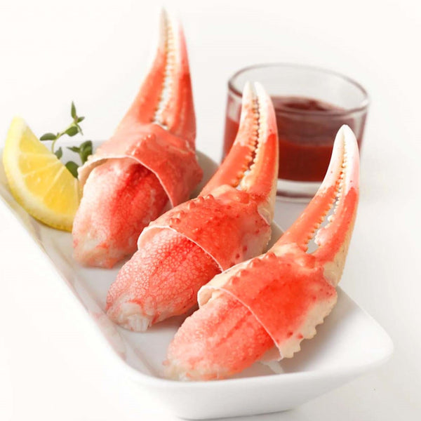 WhatsAppImage2023-08-25at11.57