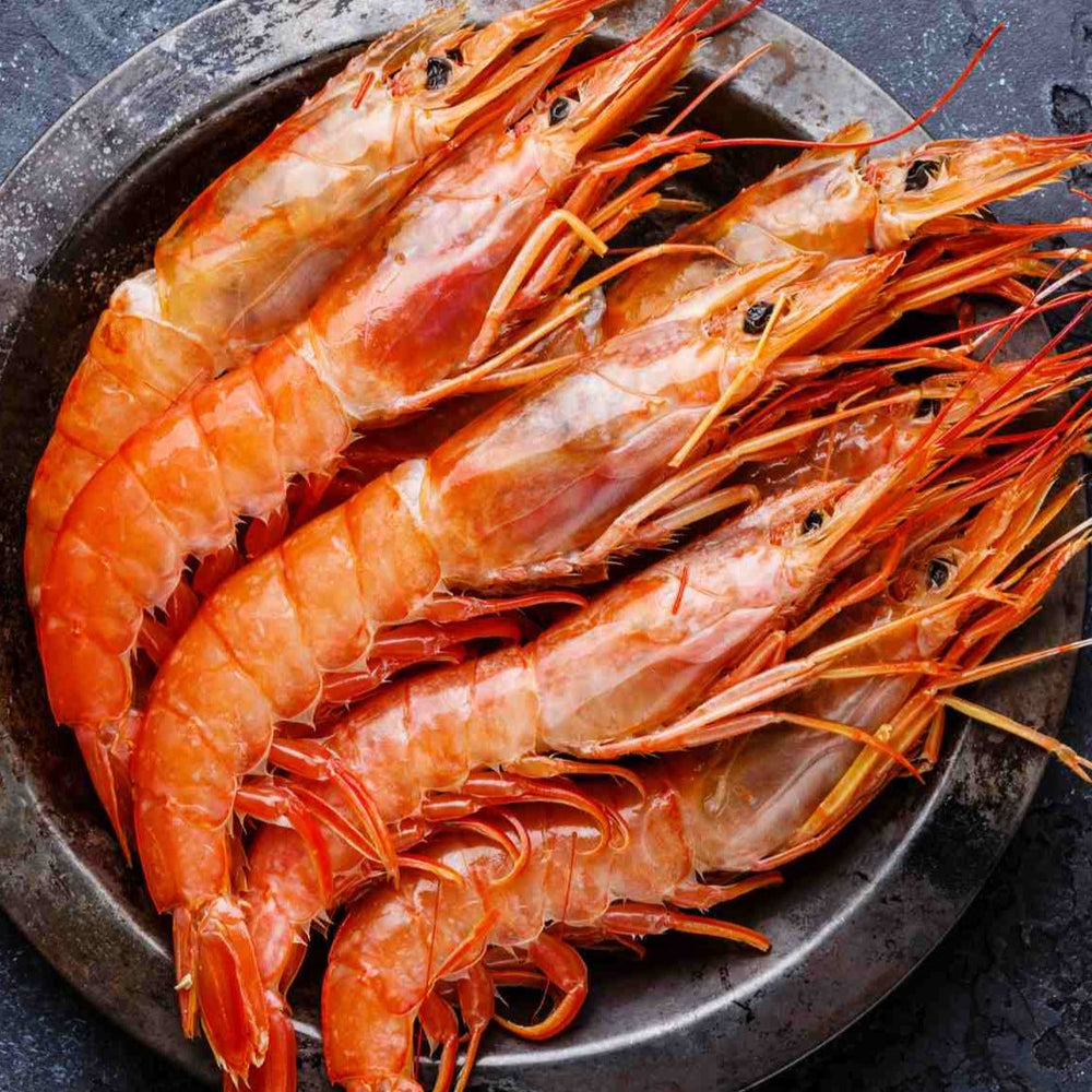 
                  
                    Argentine Red Shrimp L2 | アルゼンチンアカエヒ | 2KG
                  
                