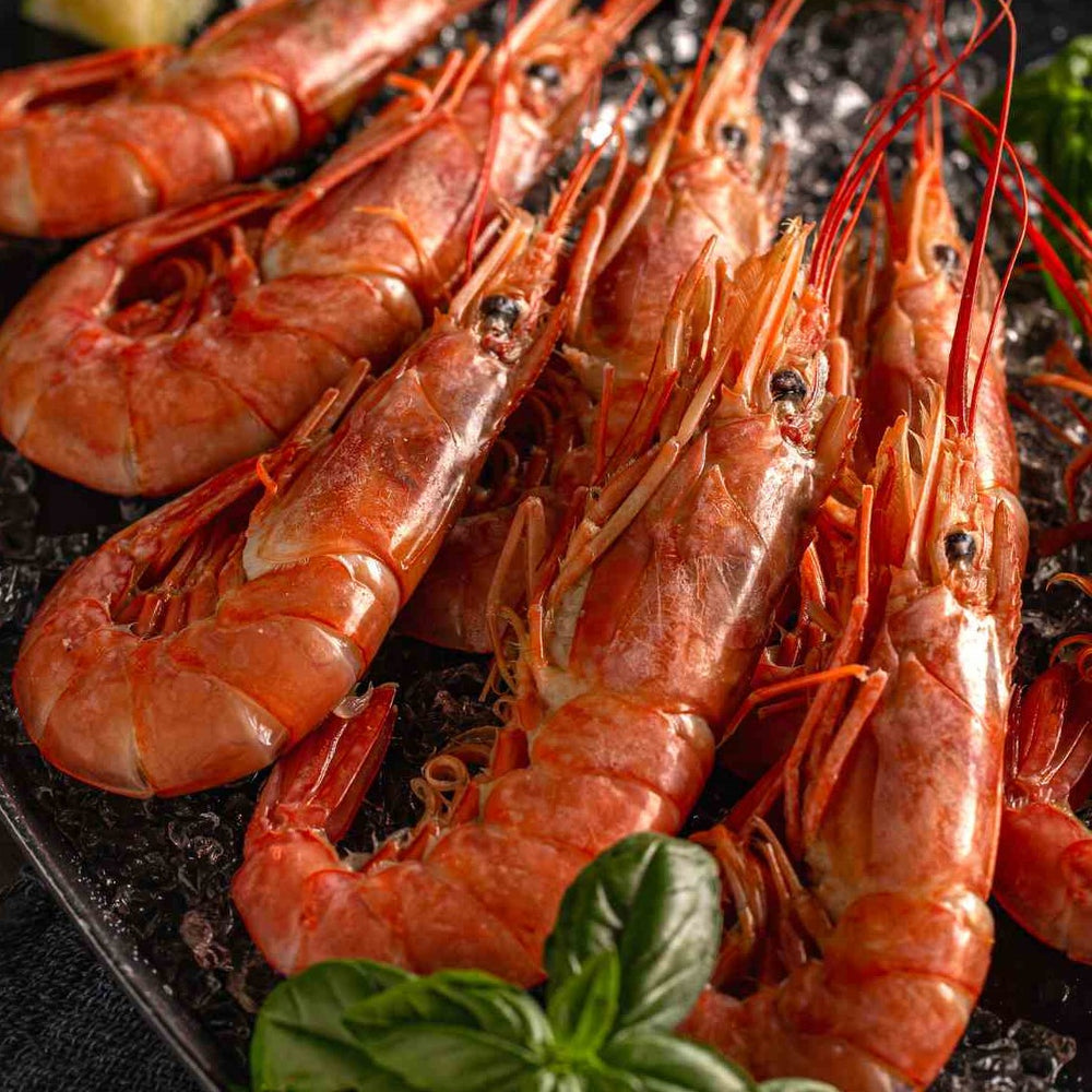 Argentine Red Shrimp L2 | アルゼンチン赤海老 | 2KG