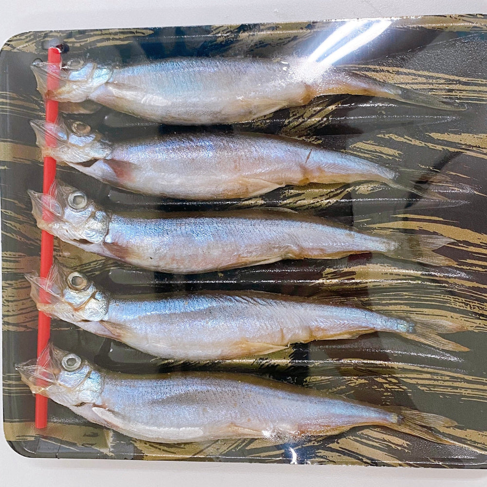 SAKANA Singapore | Japanese Seafood | Kabayaki Unagi Fillet