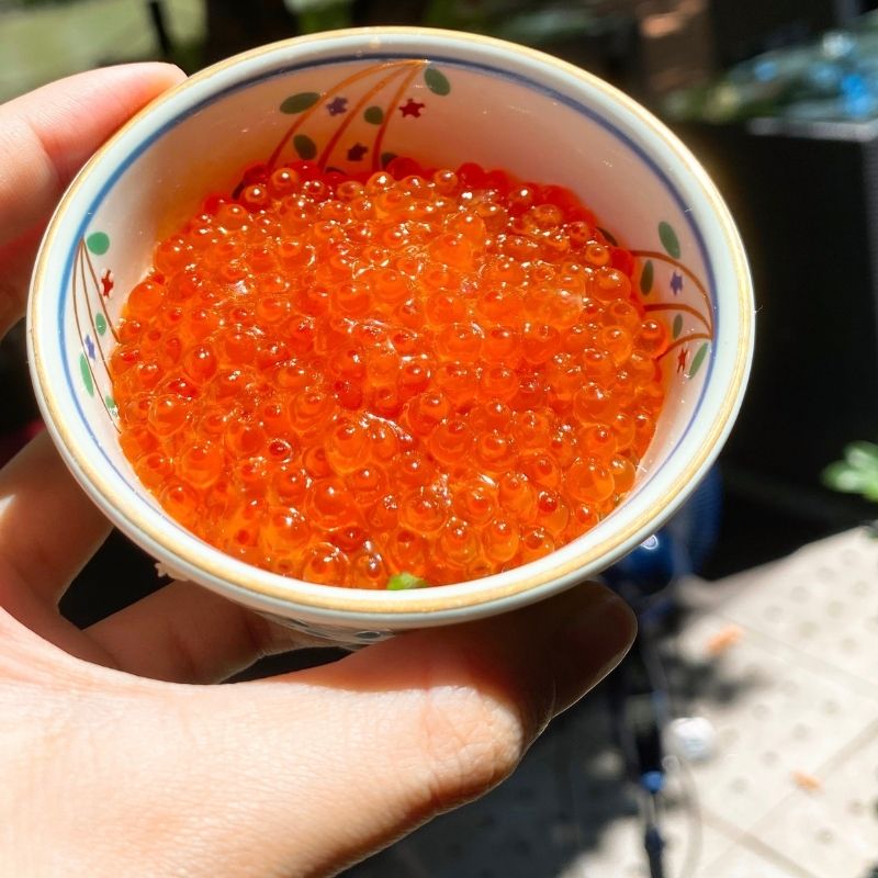 Marinated Salmon Caviar (Ikura)  | いくら醤油漬け（小粒）|130G